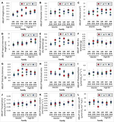 Unraveling genetic variation among white spruce families generated through different breeding strategies: Heritability, growth, physiology, hormones and gene expression